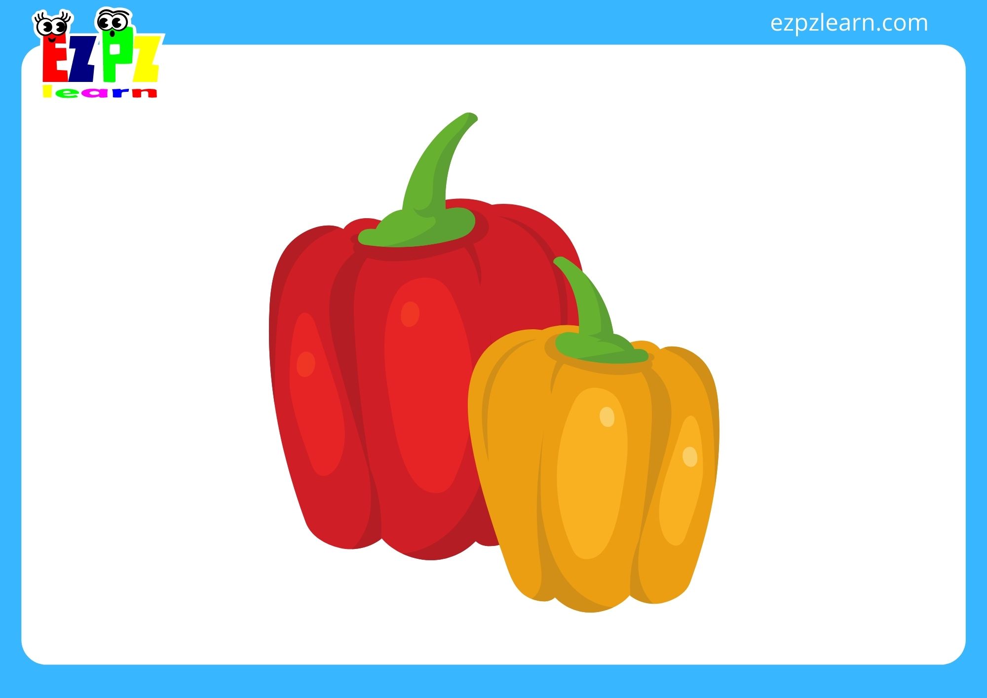 bell pepper